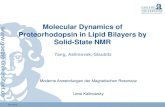 Molecular Dynamics of Proteorhodopsin in Lipid Bilayers by Solid … · 2014. 10. 13. · Solid-State NMR Yang, Aslimovsk, Glaubitz Moderne Anwendungen der Magnetischen Resonanz Lena