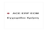 ACE ERP ECM Εγχειρίδιο Χρήσης...ACE ERP ECM Εγχειρίδιο Χρήσης ... Ace. ...