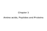 Chapter 3 Amino acids, Peptides and · PDF file 2020. 5. 15. · Chapter 3 Amino acids, Peptides and Proteins. ... Isoleucine Ile - I 2.3 9.8 Polar Uncharged Amino Acids Serine Ser