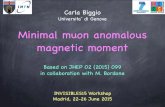 Minimal muon anomalous magnetic moment · 2018. 11. 16. · Broggio et al. 14 In a particular 2HDM! if lighter than 200 GeV (from S 1 and S 2 results) leptoquarks Only these because