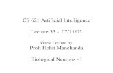 Guest Lecture by Prof. Rohit Manchanda Biological Neurons - I · 2005. 12. 3. · CS 621 Artificial Intelligence Lecture 33 - 07/11/05 Guest Lecture by Prof. Rohit Manchanda Biological