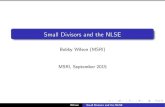 Small Divisors and the NLSE - University of Washington blwilson/MSRI9.4.pdf q >cq r for any p=q 2Q,