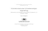 Cardiovascular β-adrenergic signalingliu.diva-portal.org/smash/get/diva2:395205/FULLTEXT01.pdf2.1 βAR siali in the cardiovascular system ..... 7 2.2 β2AR cross-siali and compartmentation