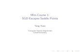 Mini-Course 1: SGD Escapes Saddle PointsWhy do we use SGD? Initially because: I Much cheaper to compute using mini-batch I Can still converge to global minimum in convex case I Can