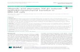 Oleanolic acid attenuates TGF-β1-induced epithelial … · 2018. 7. 4. · RESEARCH ARTICLE Open Access Oleanolic acid attenuates TGF-β1-induced epithelial-mesenchymal transition