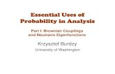 Essential Uses of Probability in Analysis · 2010. 10. 16. · Essential Uses of Probability in Analysis Krzysztof Burdzy University of Washington ... Multidimensional domains. Counterexamples