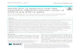 RESEARCH Open Access Identification of epigenome-wide ......RESEARCH Open Access Identification of epigenome-wide DNA methylation differences between carriers of APOE ε4 and APOE
