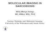 Willy Mboyo Vangu MD, MMed, MSc, PhD Nuclear Medicine and … · 2013. 4. 2. · Willy Mboyo Vangu MD, MMed, MSc, PhD Nuclear Medicine and Molecular Imaging University of the Witwatersrand,