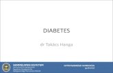DIABETES · PDF file 2019. 12. 16. · Diabetes •Inzulinszekréció vagy inzulinérzékenység csökkenésekor a zsír- és cukoranyagcsere felborul diabetes mellitus •1-es típus