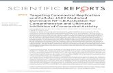 2017 Targeting Coronaviral Replication and Cellular JAK2 Mediated Dominant NF-_B Activation for Comprehensive and Ultima
