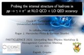 Probing the internal structure of hadrons in pp++ at NLO QCD ......5) 2^s S 3 (9) David F. Renteria-Estrada pp ! + ˇ+@ NLO QCD + LO QED 13/24 Cross section NLO computation Where ^s