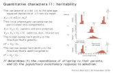 Quantitative characters II: heritability