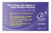 BNL Plans and Views in High Energy Physics...1) Diversity & improved balance among 3 “must-do” frontiers: Energy; Precision/sensitivity (incl. non-accelerator-based) -- origin