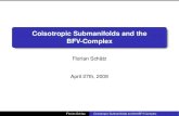 Coisotropic Submanifolds and the BFV-Complex
