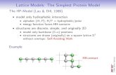 Lattice Models: The Simplest Protein Model