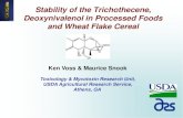 Stability of the Trichothecene, Deoxynivalenol in Processed Foods
