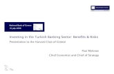 Investing in the Turkish Banking Sector: Benefits & Risks