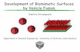 Development of Biomimetic Surfaces by Vesicle Fusion