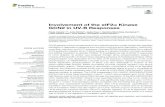 Involvement of the eIF2α Kinase GCN2 in UV-B Responsesdiposit.ub.edu/dspace/bitstream/2445/168081/1/LlabataP.pdf · 2020. 8. 24. · Llabata P, Richter J, Faus I, Słominˇska-Durdasiak