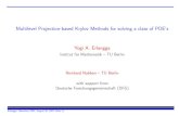 Multilevel Projection-based Krylov Methods for solving a class … · 2008. 3. 30. · Multilevel Projection-based Krylov Methods for solving a class of PDE’s Yogi A. Erlangga Institut