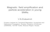 Magnetic field amplification and particle acceleration in ...
