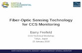 Fiber-Optic Sensing Technology for CCS Monitoring