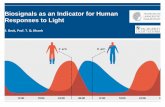 Biosignals as an Indicator for Human Responses to Light