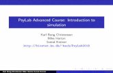 PsyLab Advanced Course: Introduction to simulation