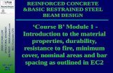 REINFORCED CONCRETE &BASIC RESTRAINED STEEL BEAM DESIGN
