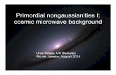 Primordial nongaussianities I: cosmic microwave background
