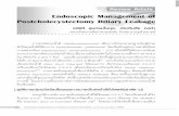 Endoscopic Management of Postcholecystectomy Biliary Leakage