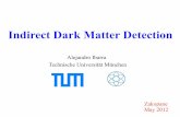 Indirect Dark Matter Detection - th-