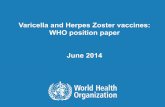 Varicella and Herpes Zoster vaccines: WHO position paper ...