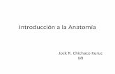 Introducción a la Anatomía