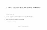 Convex Optimization for Neural Networks