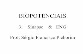 BIOPOTENCIAL 3. Sinapse e E.N.G. Prof. Sérgio Francisco ...