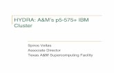 HYDRA: A&M’s p5-575+ IBM Cluster