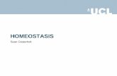 HOMEOSTASIS - UCL Wiki