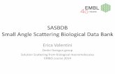 SASBDB Small Angle Scattering Biological Data Bank