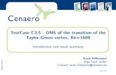 TestCase C3.5 - DNS of the transition of the Taylor-Green ...