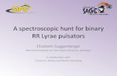 A spectroscopic hunt for binary RR Lyrae pulsators