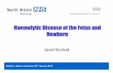 Haemolytic Disease of the Fetus and Newborn