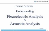 Piezoelectric Analysis Acoustic Analysis