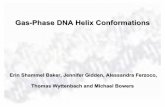 Gas-Phase DNA Helix Conformations