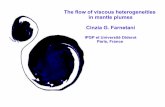 The flow of viscous heterogeneities in mantle plumes ...