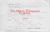 The Metric Dimension Problem.