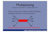 Multiplexing, Switching and Routing