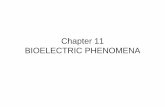 Chapter 11Chapter 11 BIOELECTRIC PHENOMENA