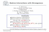 Hadron Interactions with Strangeness - KEK