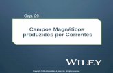 Campos Magnéticos produzidos por Correntes